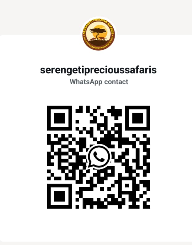 WhatsApp QR Code